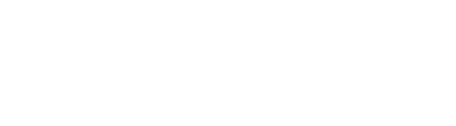 Royal Air Squadron Logo